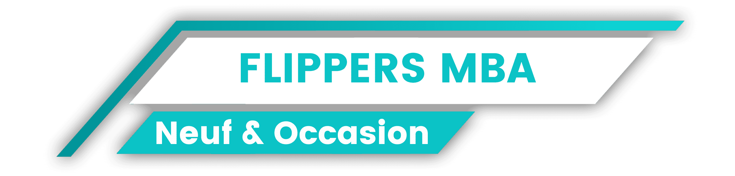 LES FLIPPERS MBA