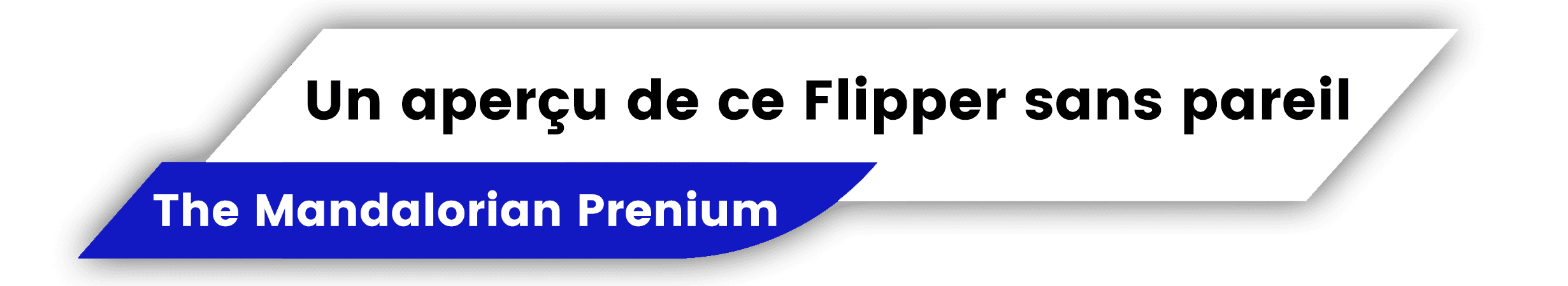 Description flipper The Mandalorian Prenium